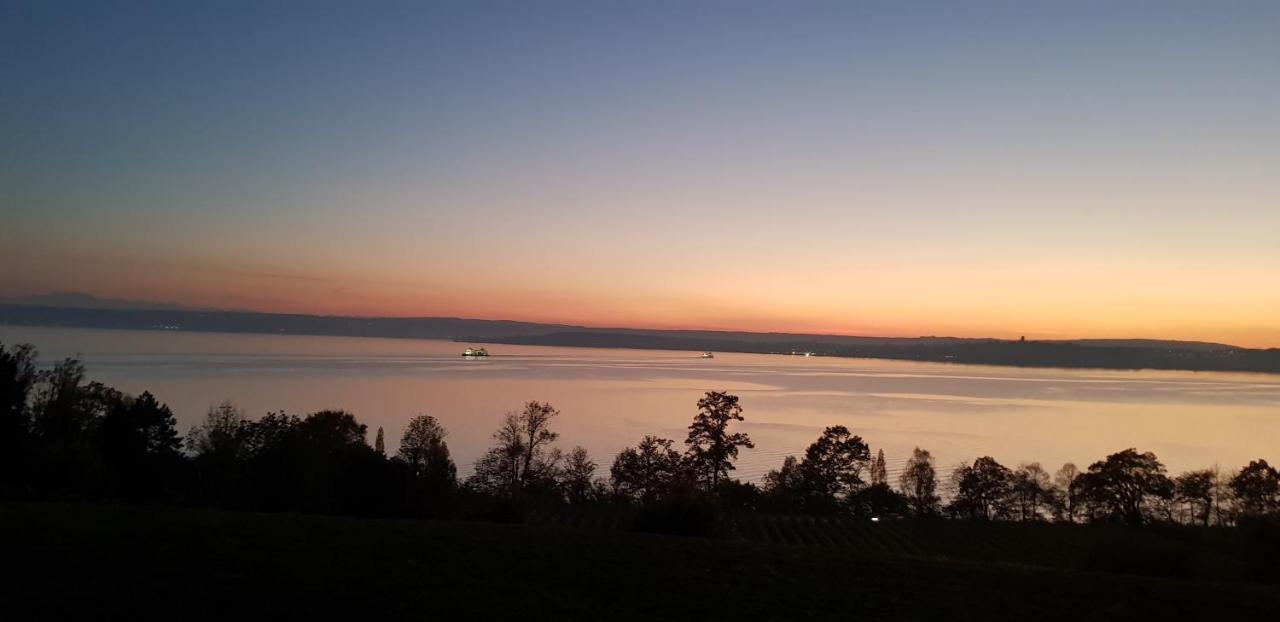 Lakeview Penthouse Meersburg Eksteriør billede