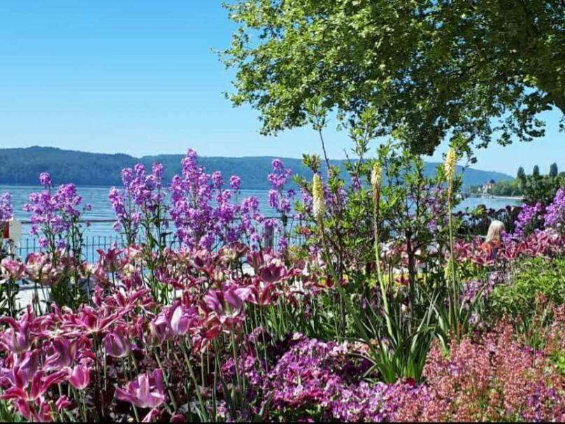 Lakeview Penthouse Meersburg Eksteriør billede